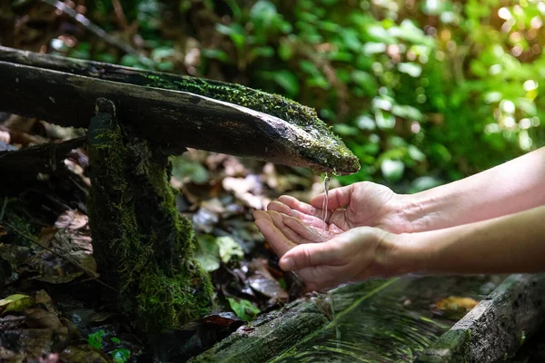 Närbild Mänskliga Händer Den Rena Naturliga Vattenkällan Skogen Ekologisk Medvetenhet — Stockfoto