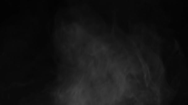 White Smoke Rising Black Background Use Screen Transfer Mode Overlay — Stock Video