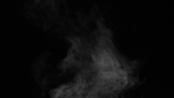 Белый Дым Поднимается Черном Фоне Используйте Экранный Режим Передачи Наложить — стоковое видео