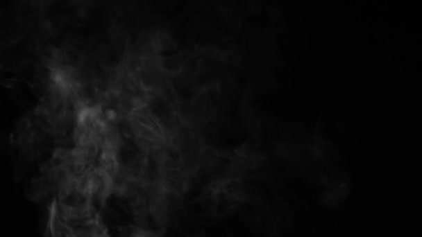 White Smoke Rising Black Background Use Screen Transfer Mode Overlay — Stock Video