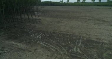 Kamera üzerinde son zamanlarda kesilmiş orman uçar. Günlükleri ve çamur. Sonraki kesilir ortaya orman kadar kamera tava.