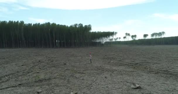 女の子は赤い風船を保持 新鮮なカットの森 フィールドの真ん中に立っています カメラを飛ぶ 下パン — ストック動画