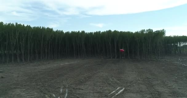 ハート型のバルーン 泥だらけのフィールドの上を飛んでします 後ろの森 カメラの追うバルーン ほぼそれを打つ — ストック動画