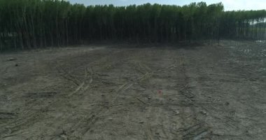 Bir alandan yükselen kırmızı balon. Kamera izler ve tava. Güneşli bir gün. Fabrika uzakta.