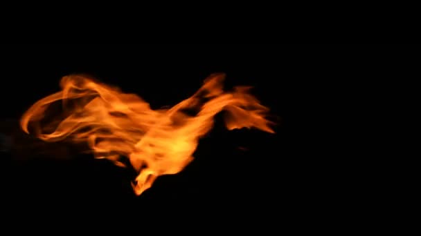 Raging Fire Burning Black Background 16S Shot 60Fps Ideal Adding — Stock Video