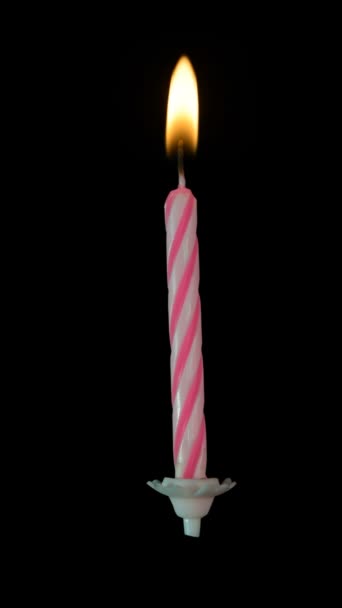 Roze Wit Verjaardag Kaars Branden Transparante Achtergrond Alpha Mat — Stockvideo