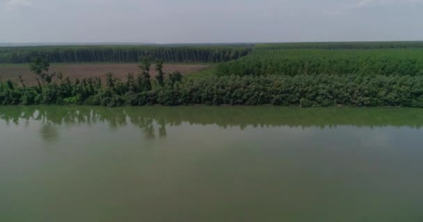 Câmara Voa Paralela Margem Rio Árvores Refletem Água Floresta Horizonte — Vídeo de Stock