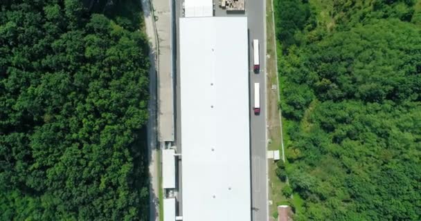 Fabryka Środku Lasu Dachu Koronach Drzew Drone Antenowe Ortogonalne — Wideo stockowe