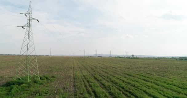 Linee Elettriche Campo Drone Sparato Volando Avanti — Video Stock