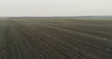 Donan bir alanın üzerinde Uçuş kış, bulutlu