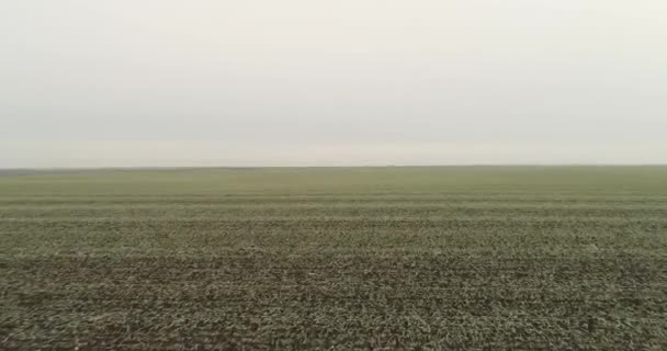 Flug Über Ein Zugefrorenes Feld Winter Bewölkt — Stockvideo