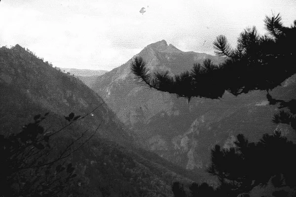 Manzara Yugoslavya, yaklaşık 1965. Dağ, orman. Bulutlar. Bir sürü toz ve çizikler. Negatif tarama.
