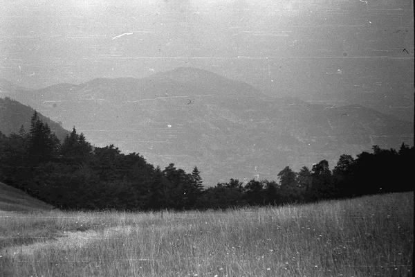 Manzara Yugoslavya, yaklaşık 1965. Dağ yamacı, orman.