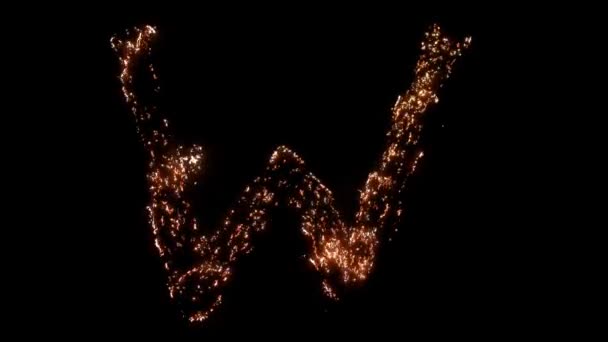 Lettre Brûle Fumant Laine Acier Belle Combustion — Video