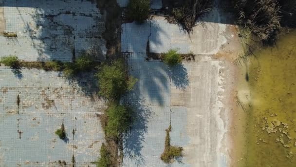 Piscine abandonnée arbres sales carreaux de mauvaises herbes en verre plan de haut en bas 