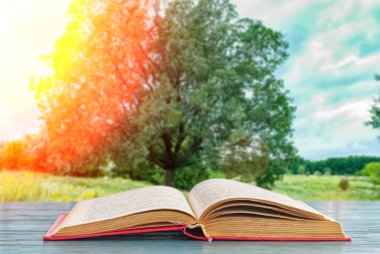 Güzel bir manzara karşı açık kitap