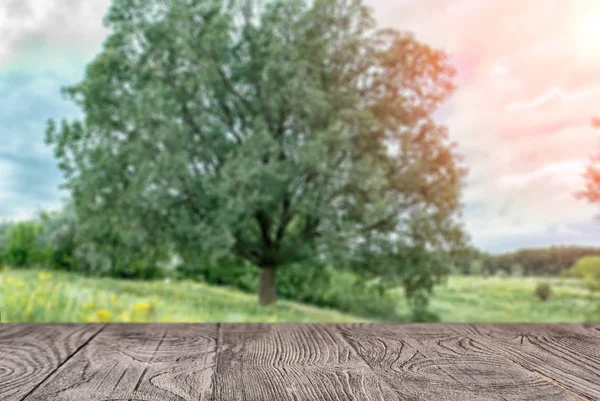 Holzoberfläche Mit Einer Schönen Textur Auf Dem Hintergrund Der Natur — Stockfoto