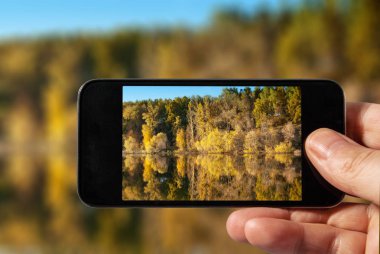 telefon elinde, doğa ekranda görüntü