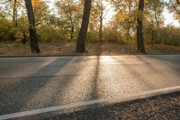 Straße Den Strahlen Eines Herbstsonnenuntergangs — Stockfoto