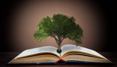 Bir kitap veya bir ağaç açık bir kitap gelişen bir bilgi kavramı