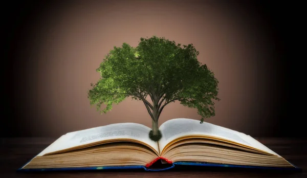 Conceito Livro Uma Árvore Conhecimento Com Uma Árvore Crescendo Partir — Fotografia de Stock