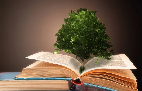 Concept Book Tree Knowledge Oak Growing Books — Stock Photo, Image