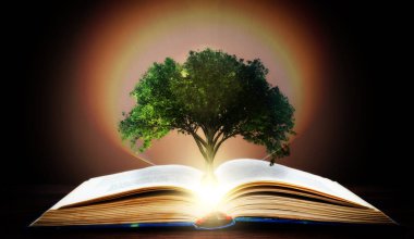 Bir kitap veya bir ağaç açık bir kitap gelişen bir bilgi kavramı