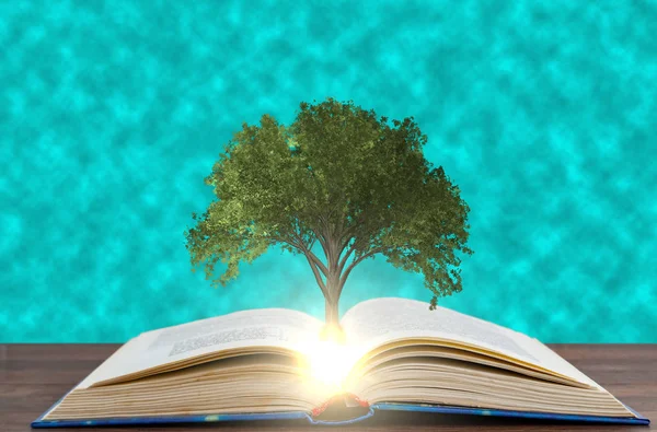 Árvore Crescendo Com Livro Sobre Fundo Água Piscina — Fotografia de Stock