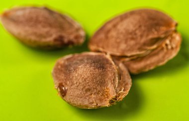 Kayısı kemikleri yakın çekim yeşil arka plan makro