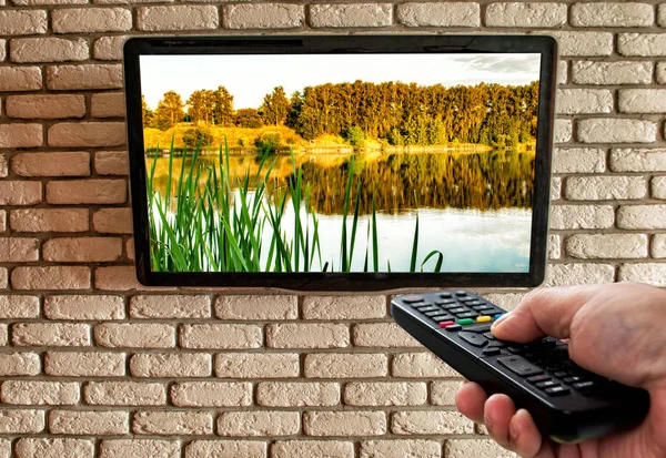 TV remote in hand and TV on decorative brick wall