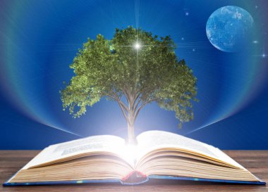 genişletilmiş kitaptan bilgi ağacı yetişir. Eğitim kavramı