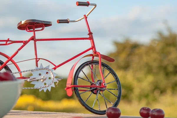 Красный велосипед на фоне природы и ягод — стоковое фото