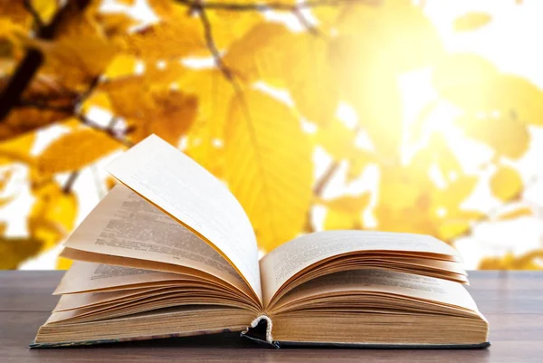 Nyílt könyv egy fa felületen, őszi fák hátterében — Stock Fotó