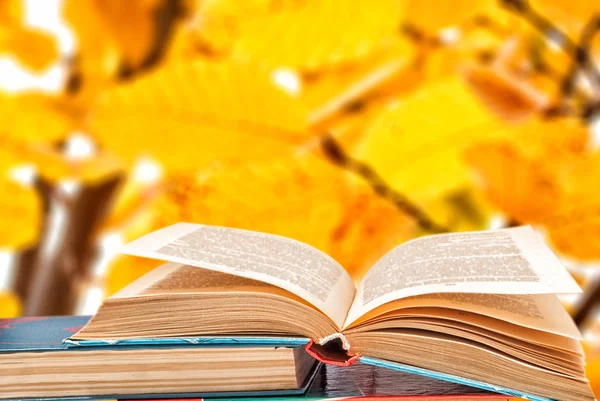 Books on a background of autumn yellow leaves — Stock Photo, Image