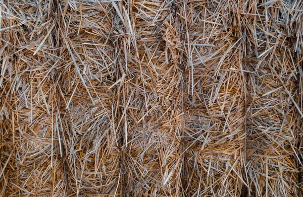 Dry Straw Close Background Desktop Wallpaper — Stock Photo, Image