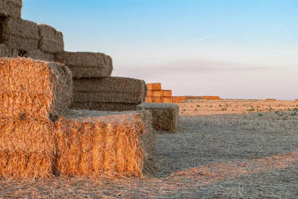 Stacks Straw Stacked Top Each Other Form Castle Sunset — Stock Photo, Image