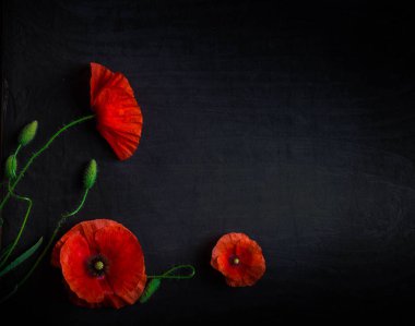 Taze kırmızı haşhaş siyah arka plan üzerine yukarıdan