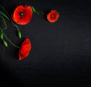 Taze kırmızı haşhaş siyah arka plan üzerine yukarıdan