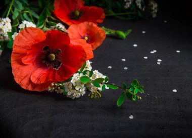 Kırmızı haşhaş ve siyah beton zemin üzerine beyaz alanlara çiçek kompozisyonu