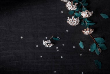 Siyah arka plan üzerine beyaz alanlara yeşil ile çiçek kompozisyon bırakır