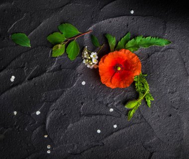 Siyah zemin üzerine kırmızı haşhaş ve beyaz alanlara, üstten görünüm