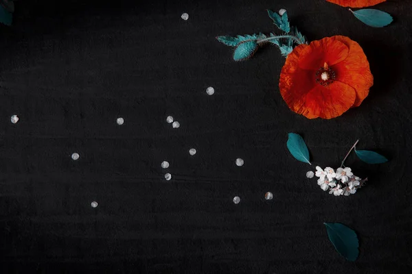 Top View Red Poppy White Spiraea Black Background — Stock Photo, Image