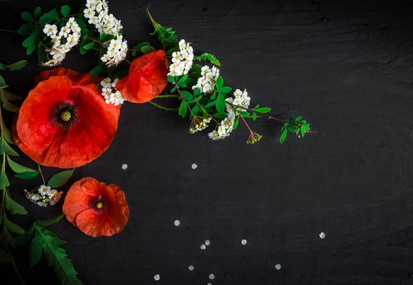 Composición Floral Con Amapolas Rojas Espiraea Blanca Sobre Fondo Hormigón —  Fotos de Stock