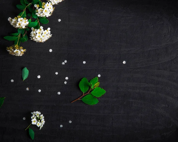 Samenstelling Van Bloemen Met Witte Spiraea Met Groene Bladeren Zwarte — Stockfoto