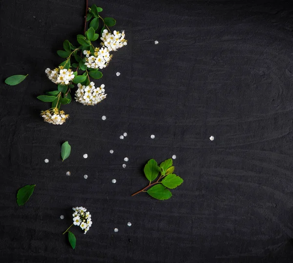 Samenstelling Van Bloemen Met Witte Spiraea Met Groene Bladeren Zwarte — Stockfoto