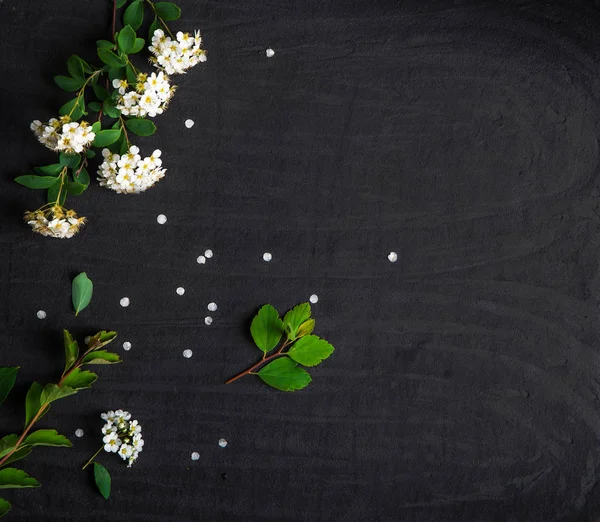 Samenstelling Van Bloemen Met Witte Spiraea Met Groene Bladeren Zwarte — Stockfoto