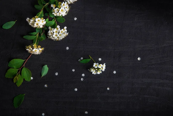 Samenstelling Van Bloemen Met Witte Spiraea Met Groene Bladeren Zwarte — Stockfoto