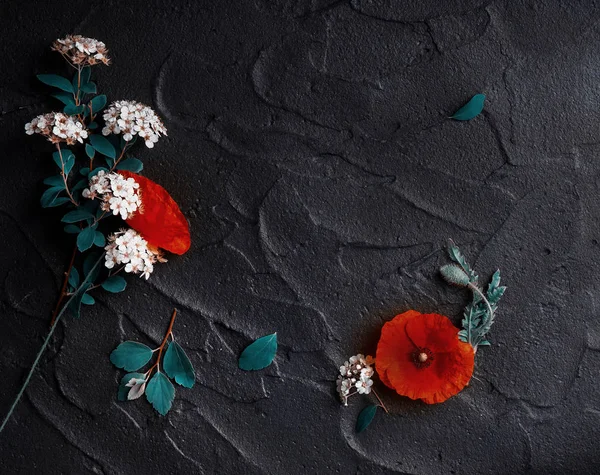 Floral Composition Red Poppies White Spiraea Black Concrete Background — Stock Photo, Image