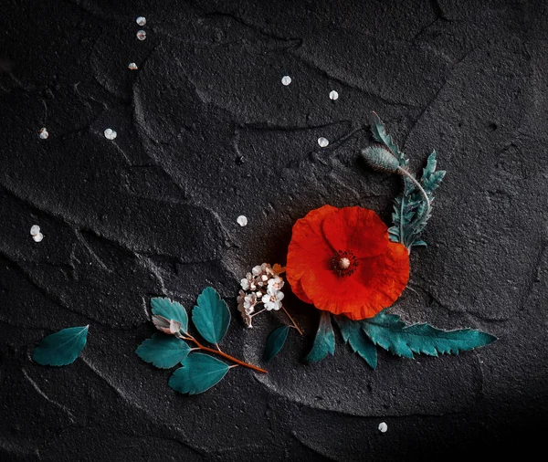 Top View Red Poppy White Spiraea Black Background — Stock Photo, Image