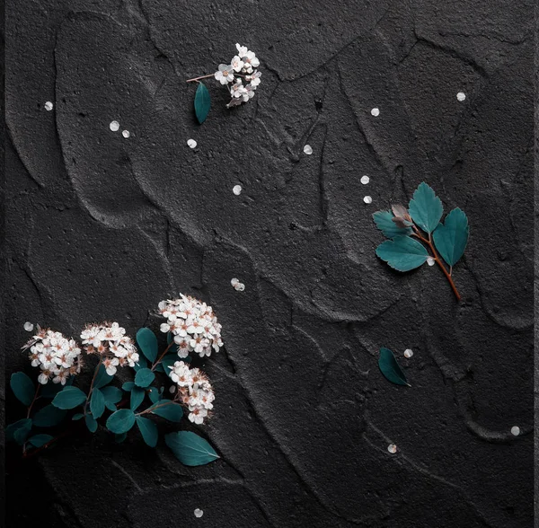 Květinová Kompozice Bílým Spiraea Zelenou Barvou Listí Černém Pozadí — Stock fotografie
